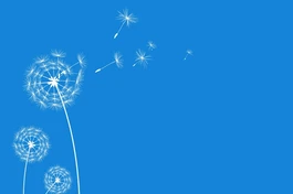 Đức Phật dạy khi qua được bờ rồi thì quên chiếc bè, buông hết cho nó nhẹ - Ảnh minh họa